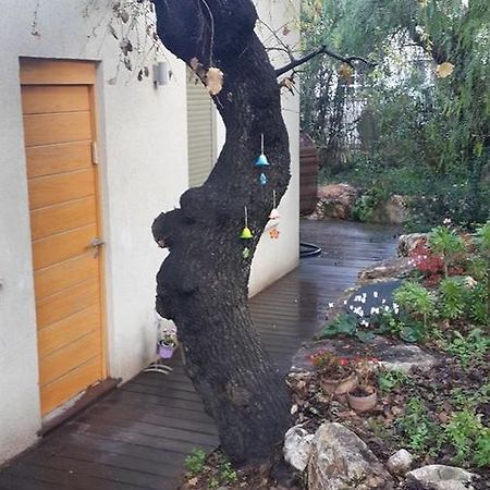 Oak Shade Villa Bethlehem of Galilee Bagian luar foto